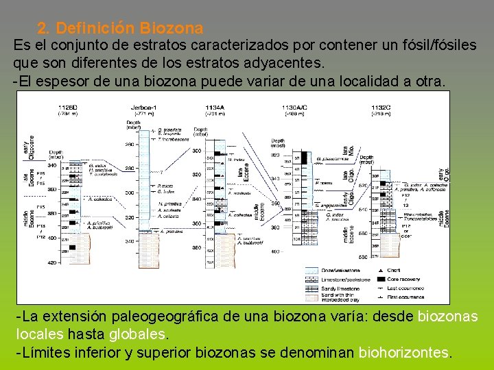 2. Definición Biozona Es el conjunto de estratos caracterizados por contener un fósil/fósiles que