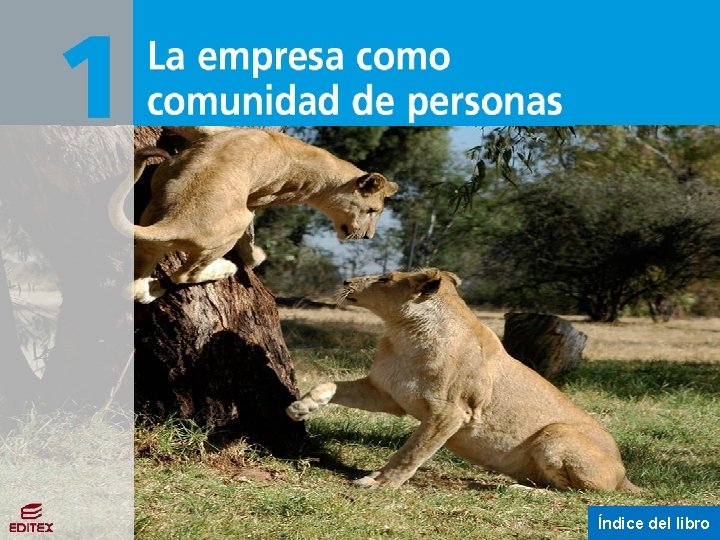 La empresa como comunidad de personas Índice del libro La empresa como comunidad de personas Índice del libro