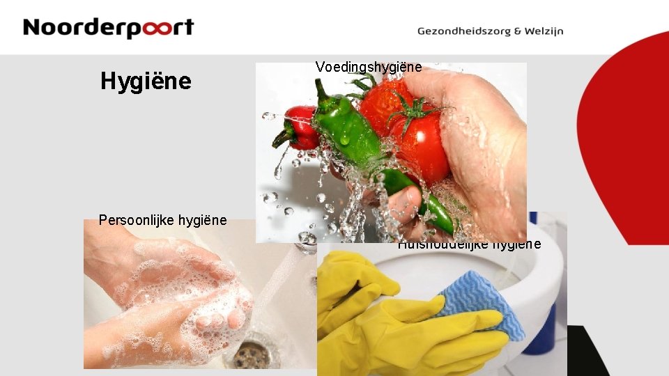 Hygiëne Voedingshygiëne Persoonlijke hygiëne Huishoudelijke hygiëne 