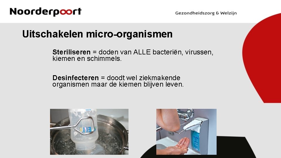 Uitschakelen micro-organismen Steriliseren = doden van ALLE bacteriën, virussen, kiemen en schimmels. Desinfecteren =