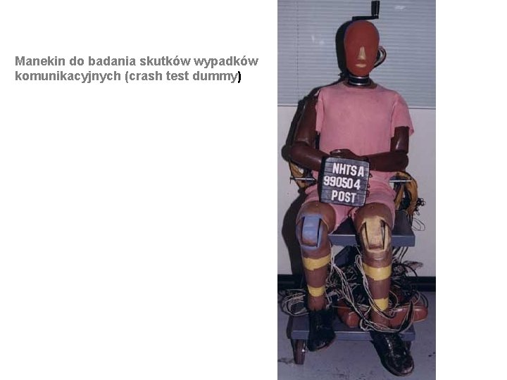 Manekin do badania skutków wypadków komunikacyjnych (crash test dummy) 