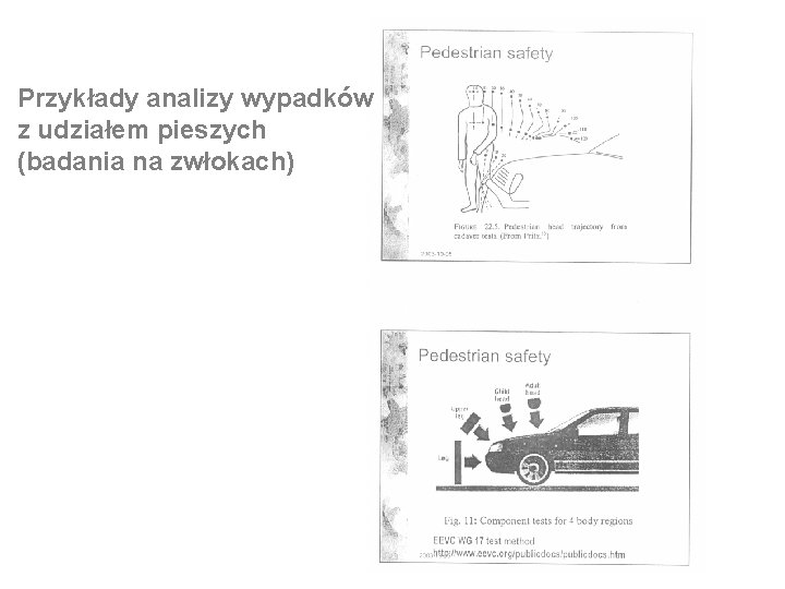 Przykłady analizy wypadków z udziałem pieszych (badania na zwłokach) 