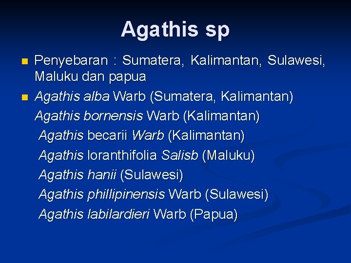 Agathis sp n n Penyebaran : Sumatera, Kalimantan, Sulawesi, Maluku dan papua Agathis alba