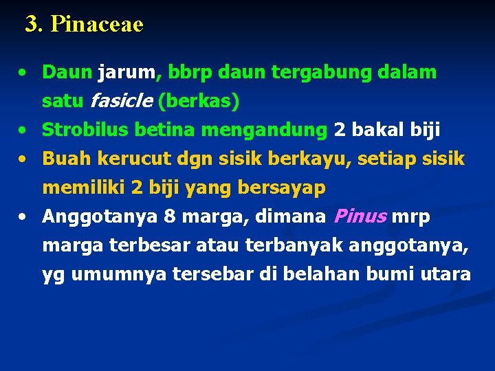 3. Pinaceae • Daun jarum, bbrp daun tergabung dalam satu fasicle (berkas) • Strobilus