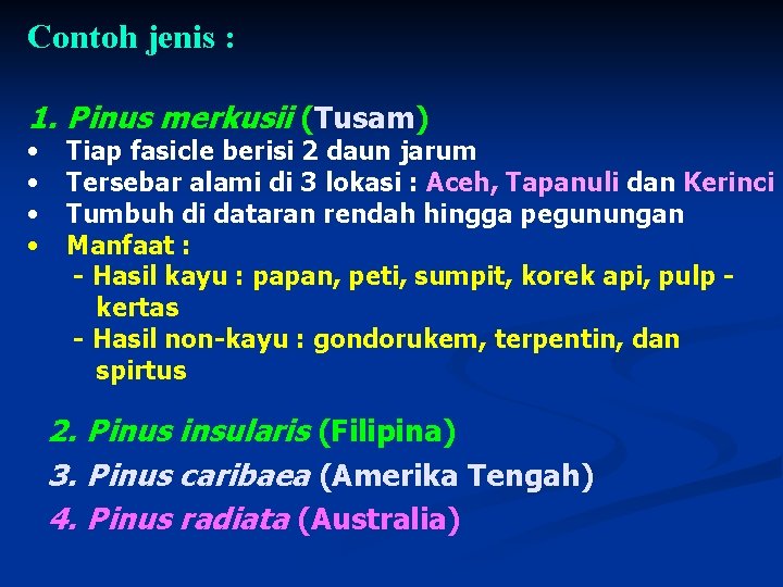 Contoh jenis : 1. Pinus merkusii (Tusam) • • Tiap fasicle berisi 2 daun