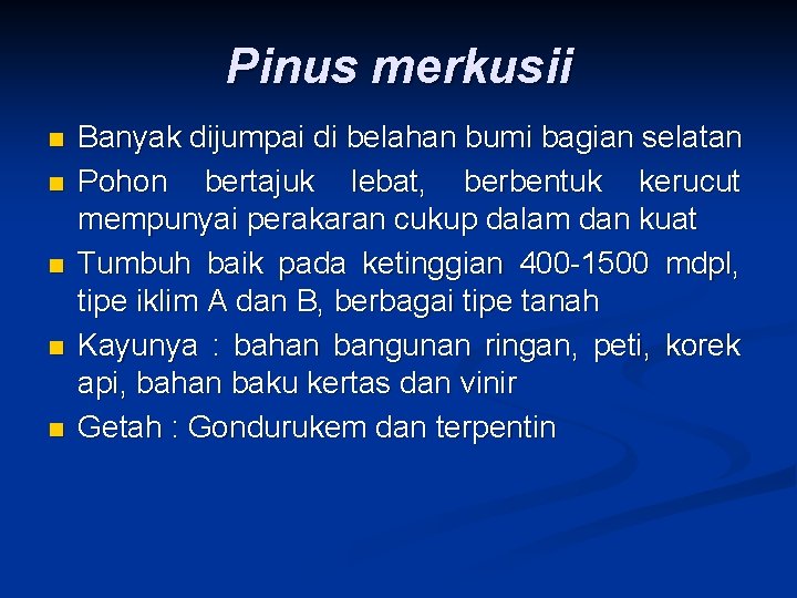 Pinus merkusii n n n Banyak dijumpai di belahan bumi bagian selatan Pohon bertajuk