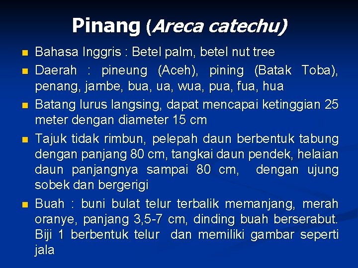 Pinang (Areca catechu) n n n Bahasa Inggris : Betel palm, betel nut tree