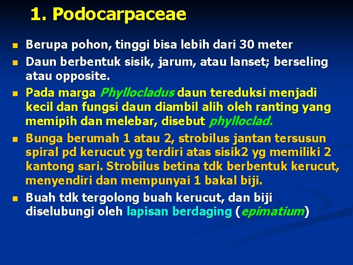 1. Podocarpaceae n n n Berupa pohon, tinggi bisa lebih dari 30 meter Daun