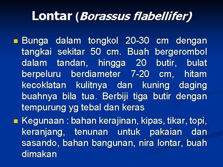 Lontar (Borassus flabellifer) n n Bunga dalam tongkol 20 -30 cm dengan tangkai sekitar
