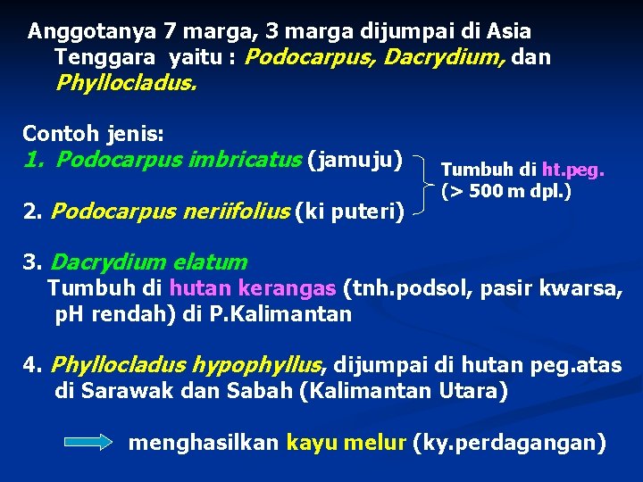 Anggotanya 7 marga, 3 marga dijumpai di Asia Tenggara yaitu : Podocarpus, Dacrydium, dan