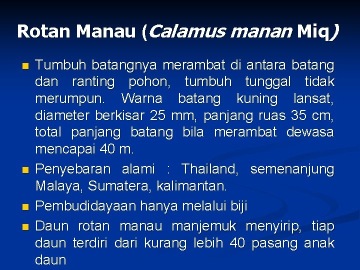 Rotan Manau (Calamus manan Miq) n n Tumbuh batangnya merambat di antara batang dan
