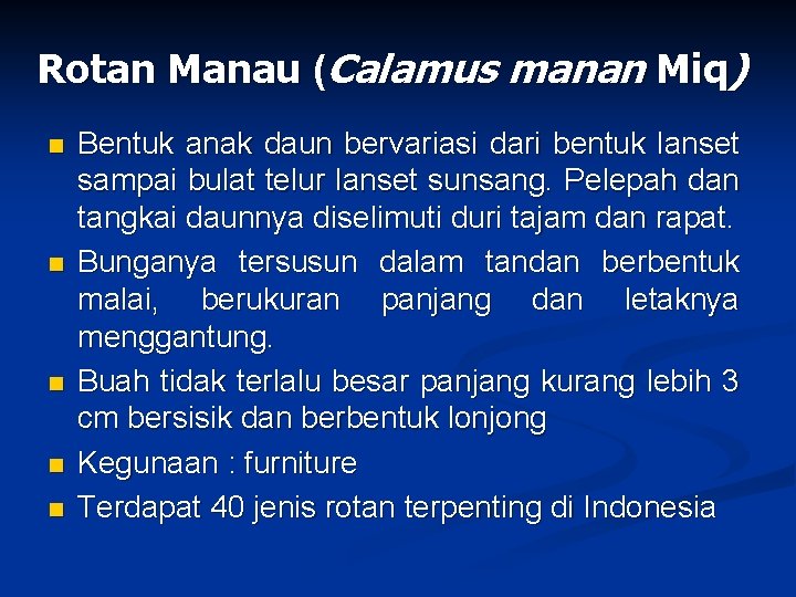 Rotan Manau (Calamus manan Miq) n n n Bentuk anak daun bervariasi dari bentuk