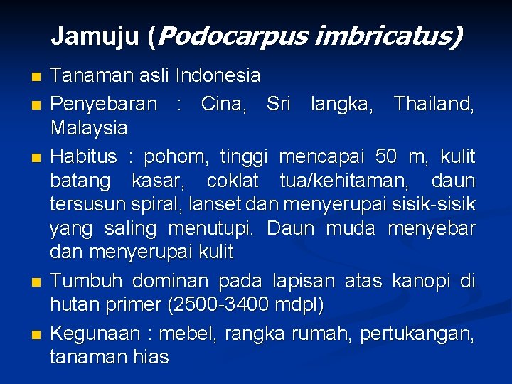 Jamuju (Podocarpus imbricatus) n n n Tanaman asli Indonesia Penyebaran : Cina, Sri langka,