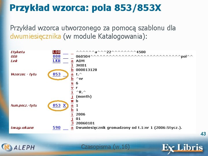 Przykład wzorca: pola 853/853 X Przykład wzorca utworzonego za pomocą szablonu dla dwumiesięcznika (w