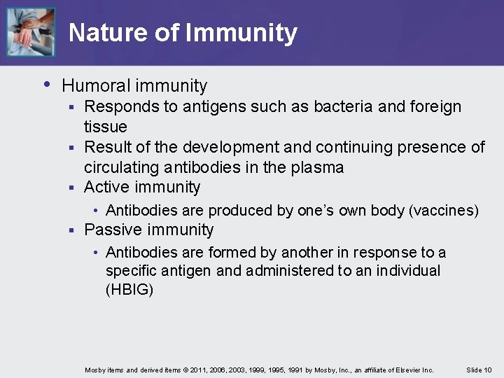 Nature of Immunity • Humoral immunity Responds to antigens such as bacteria and foreign