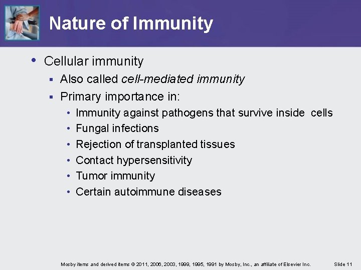 Nature of Immunity • Cellular immunity Also called cell-mediated immunity § Primary importance in: