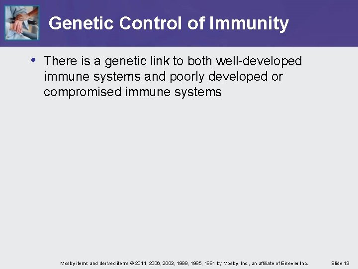 Genetic Control of Immunity • There is a genetic link to both well-developed immune