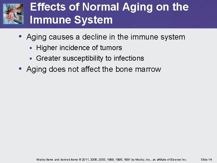 Effects of Normal Aging on the Immune System • Aging causes a decline in