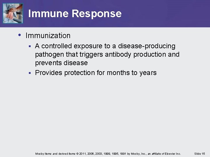 Immune Response • Immunization A controlled exposure to a disease-producing pathogen that triggers antibody