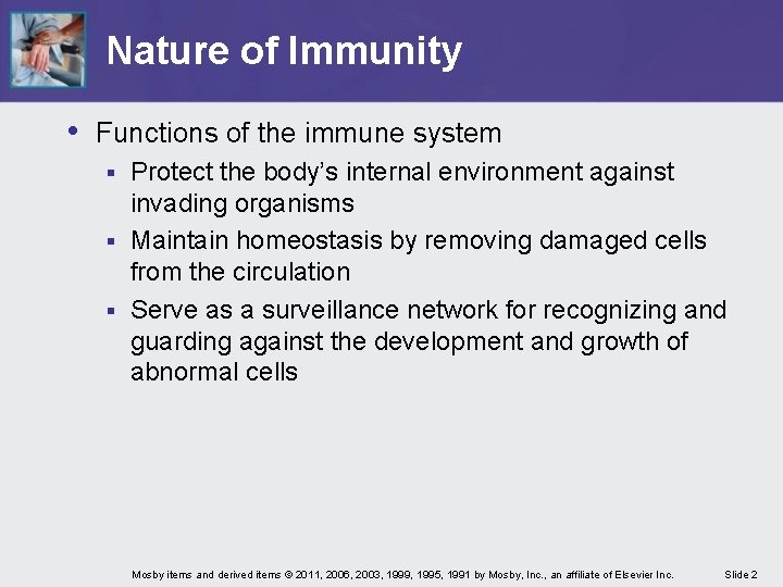 Nature of Immunity • Functions of the immune system Protect the body’s internal environment