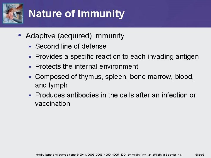 Nature of Immunity • Adaptive (acquired) immunity § § § Second line of defense