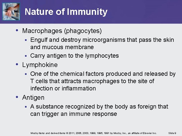 Nature of Immunity • Macrophages (phagocytes) Engulf and destroy microorganisms that pass the skin