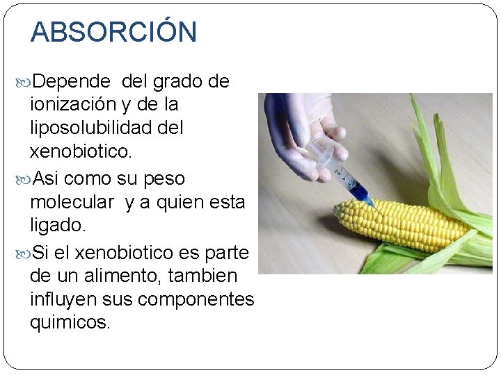 ABSORCIÓN Depende del grado de ionización y de la liposolubilidad del xenobiotico. Asi como