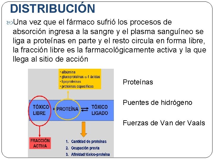 DISTRIBUCIÓN Una vez que el fármaco sufrió los procesos de absorción ingresa a la