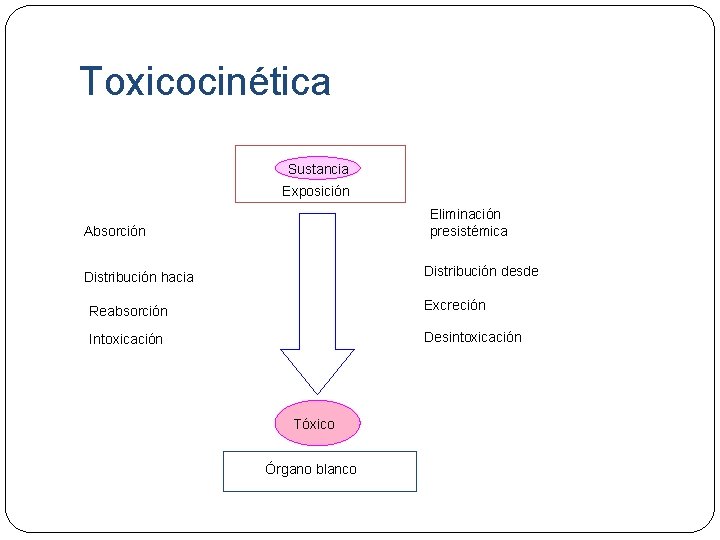 Toxicocinética Sustancia Exposición Eliminación presistémica Absorción Distribución desde Distribución hacia Reabsorción Excreción Intoxicación Desintoxicación