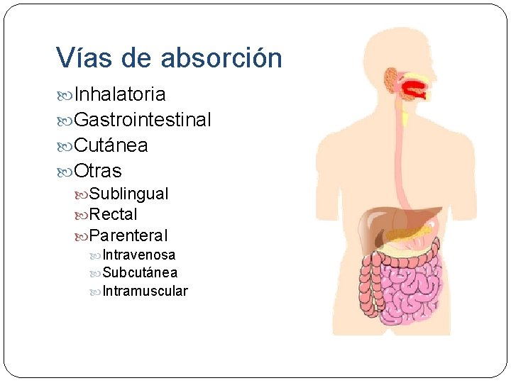Vías de absorción Inhalatoria Gastrointestinal Cutánea Otras Sublingual Rectal Parenteral Intravenosa Subcutánea Intramuscular 