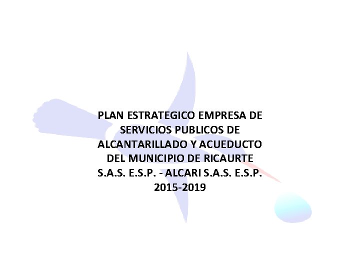 PLAN ESTRATEGICO EMPRESA DE SERVICIOS PUBLICOS DE ALCANTARILLADO Y ACUEDUCTO DEL MUNICIPIO DE RICAURTE