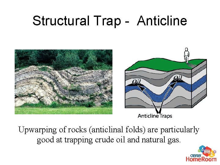Structural Trap - Anticline Upwarping of rocks (anticlinal folds) are particularly good at trapping