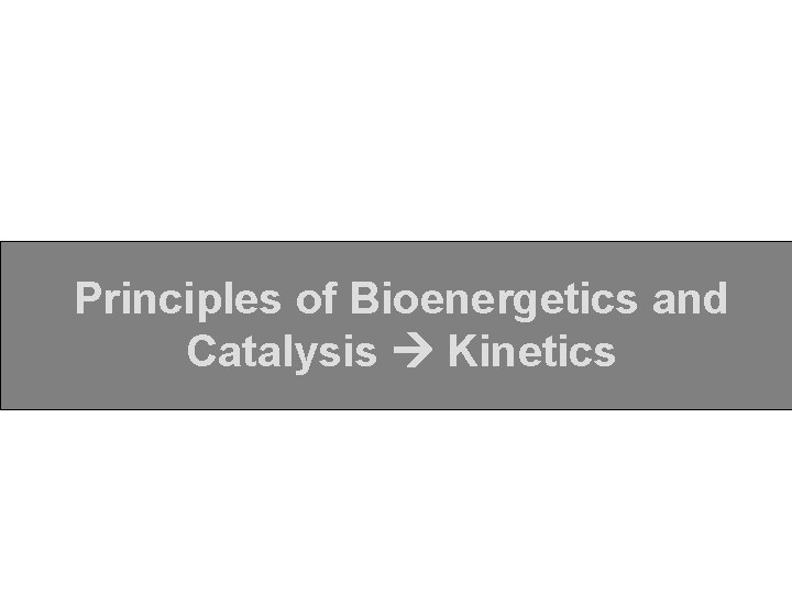 Principles of Bioenergetics and Catalysis Kinetics 