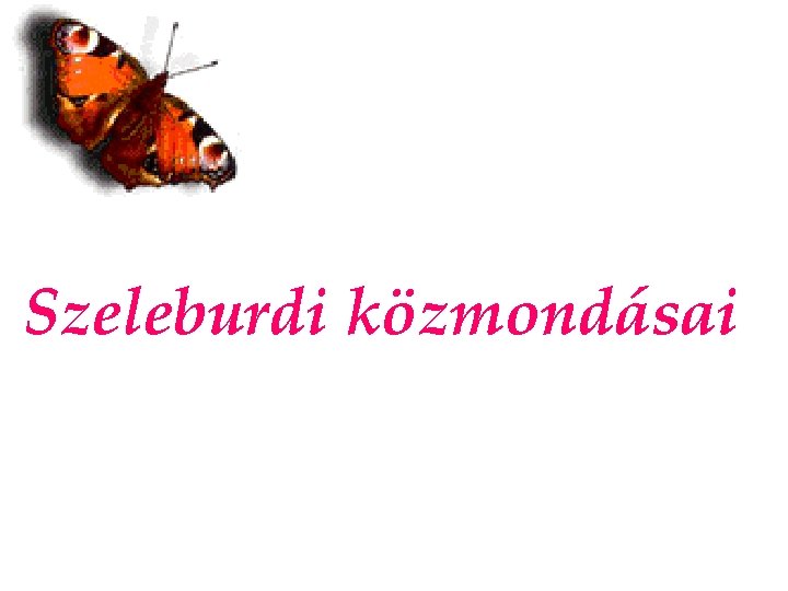 Szeleburdi közmondásai 