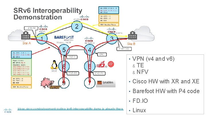  • VPN (v 4 and v 6) & TE & NFV • Cisco