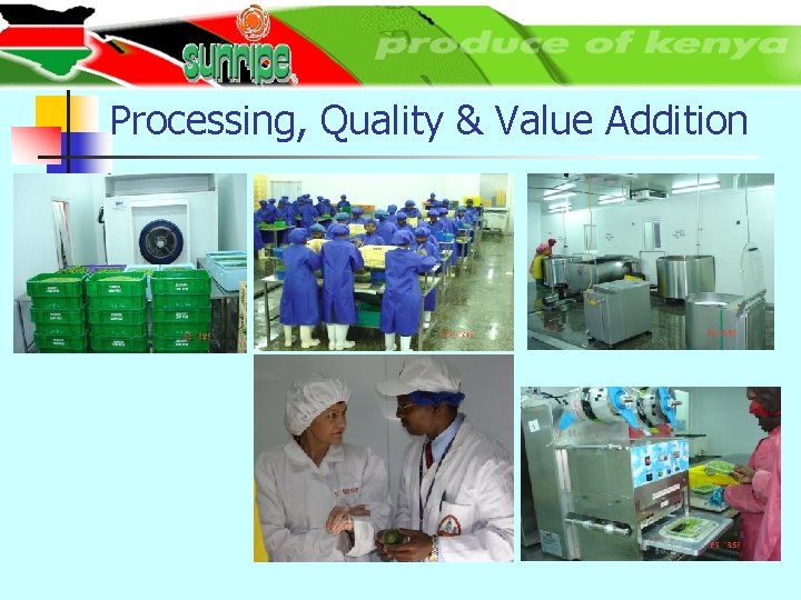 Processing, Quality & Value Addition 