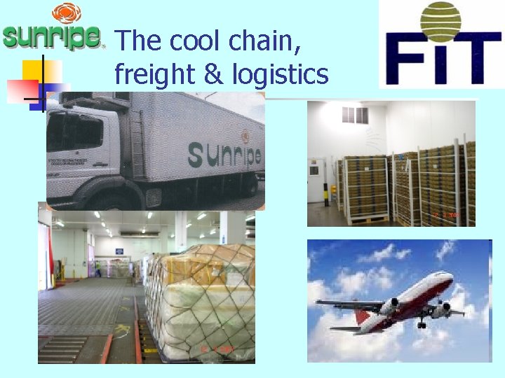 The cool chain, freight & logistics 