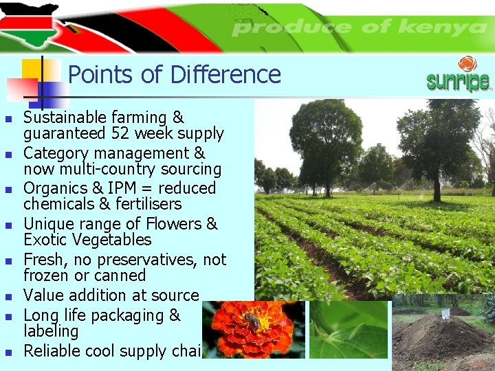 Points of Difference n n n n Sustainable farming & guaranteed 52 week supply