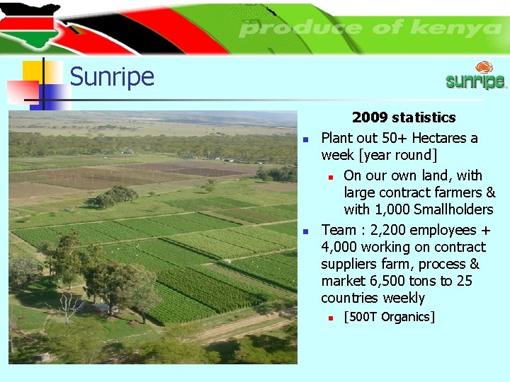 Sunripe n n 2009 statistics Plant out 50+ Hectares a week [year round] n