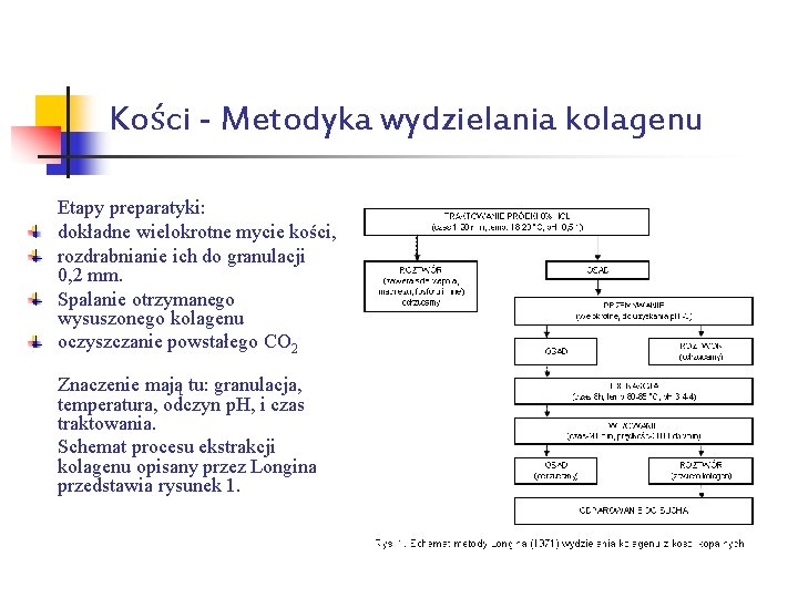 Kości - Metodyka wydzielania kolagenu Etapy preparatyki: dokładne wielokrotne mycie kości, rozdrabnianie ich do