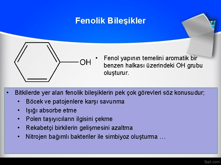 Fenolik Bileşikler • Fenol yapının temelini aromatik bir benzen halkası üzerindeki OH grubu oluşturur.