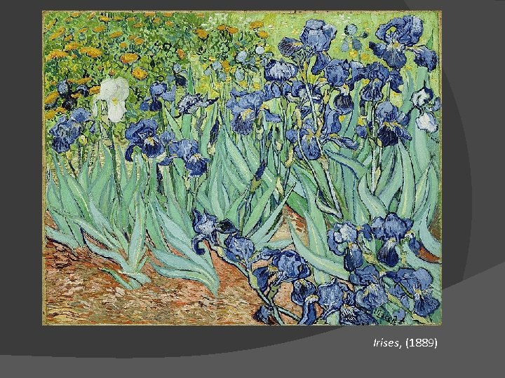 Irises, (1889) 