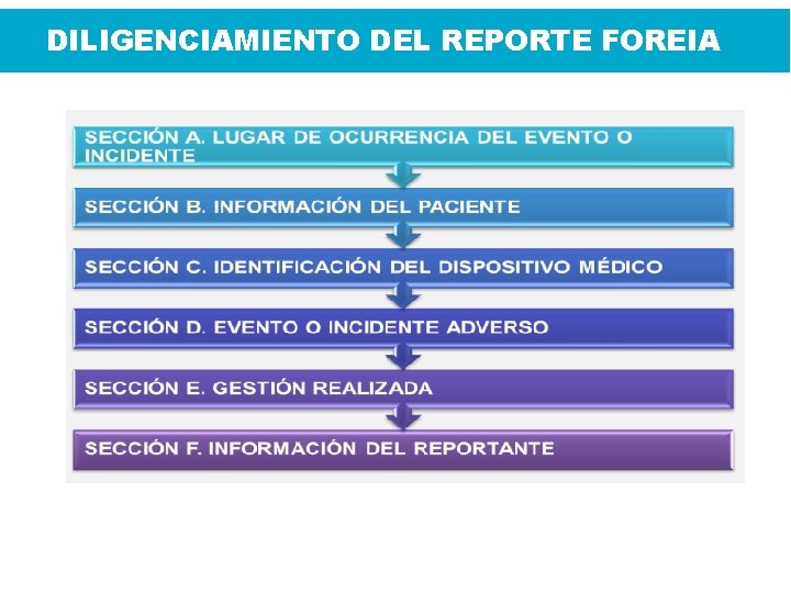 DILIGENCIAMIENTO DEL REPORTE FOREIA 