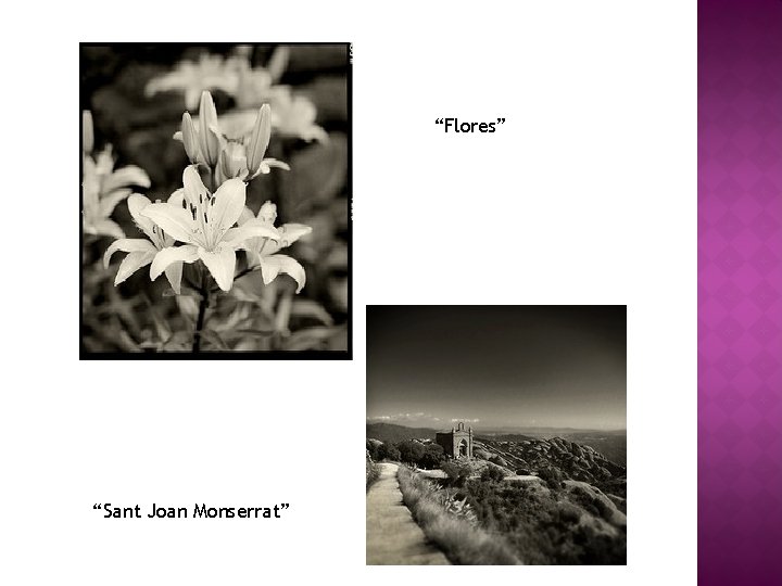 “Flores” “Sant Joan Monserrat” 