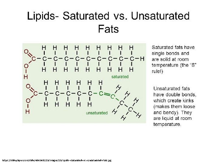 https: //slideplayer. com/slide/4643462/15/images/15/Lipids-+Saturated+vs. +Unsaturated+Fats. jpg https: //slideplayer. com/slide/4643462/15/images/15/Lipids-+Saturated+vs. +Unsaturated+Fats. jpg