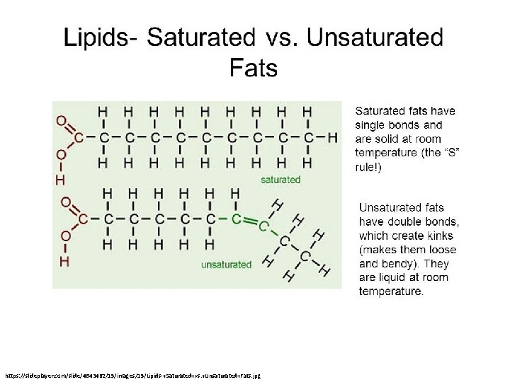 https: //slideplayer. com/slide/4643462/15/images/15/Lipids-+Saturated+vs. +Unsaturated+Fats. jpg 