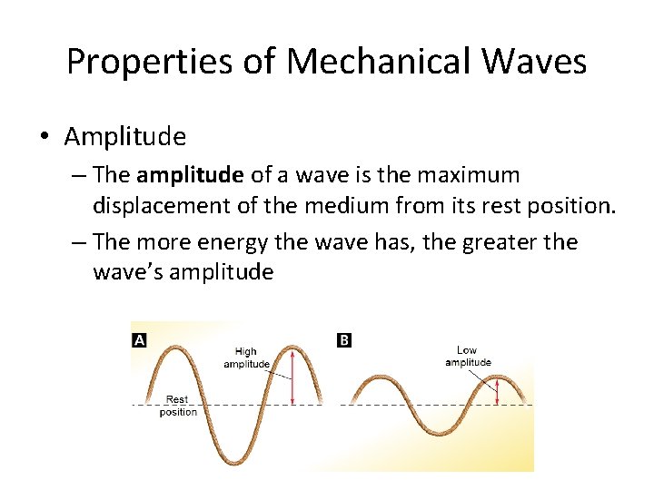 Properties of Mechanical Waves • Amplitude – The amplitude of a wave is the