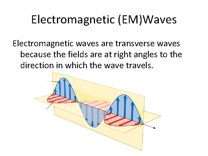 Electromagnetic (EM)Waves Electromagnetic waves are transverse waves because the fields are at right angles