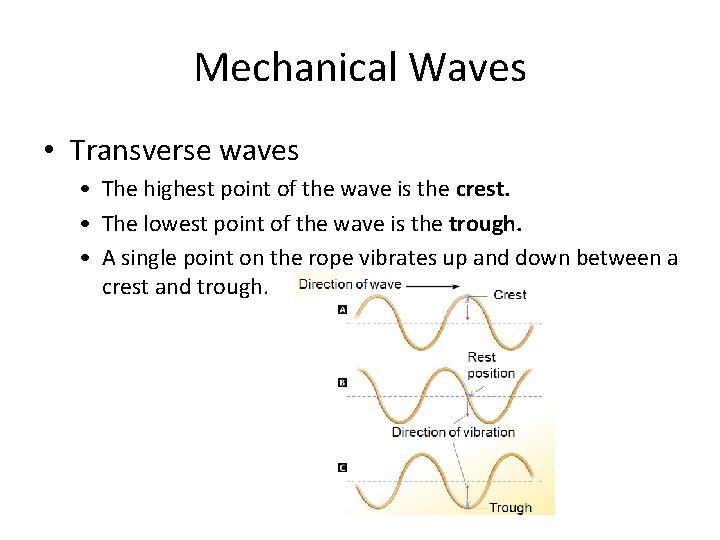 Mechanical Waves • Transverse waves • The highest point of the wave is the