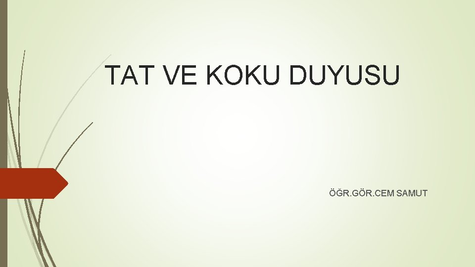 TAT VE KOKU DUYUSU ÖĞR. GÖR. CEM SAMUT TAT VE KOKU DUYUSU ÖĞR. GÖR. CEM SAMUT